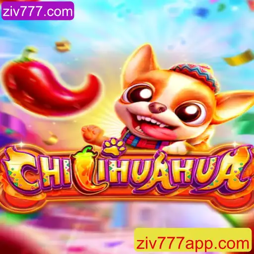 Explorando o Mundo de CHILIHUAHUA: Um Jogo Empolgante com Regras Únicas